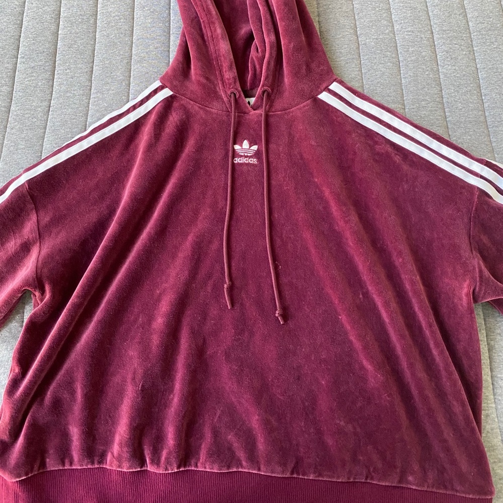 velvet adidas cropped hoodie